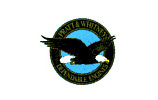Pratt & Whitney